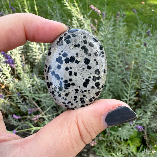 Dalmatian Jasper certainty stone