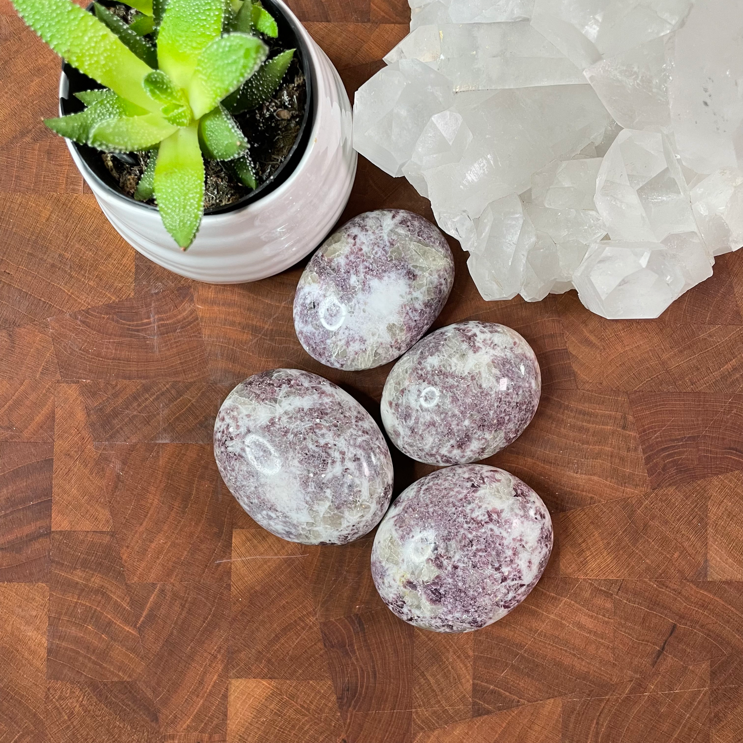 A group of four Lepidolite palm stones are pictured with a succulent and a Clear Quartz cluster. The palm stones are available for sale at Freya's Haven.