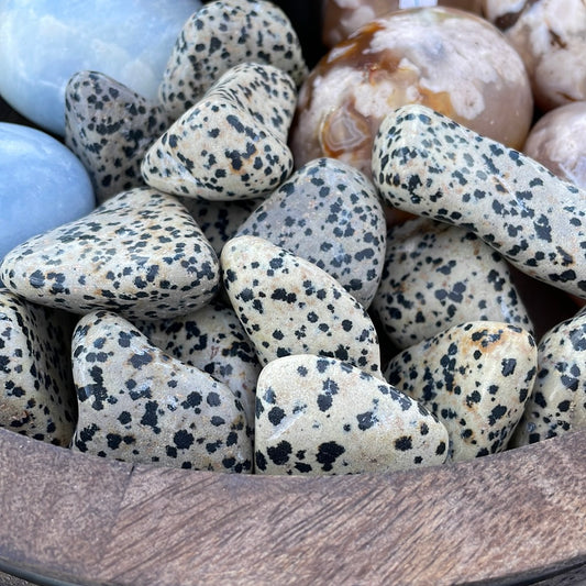 Dalmatian Jasper mini palm stone